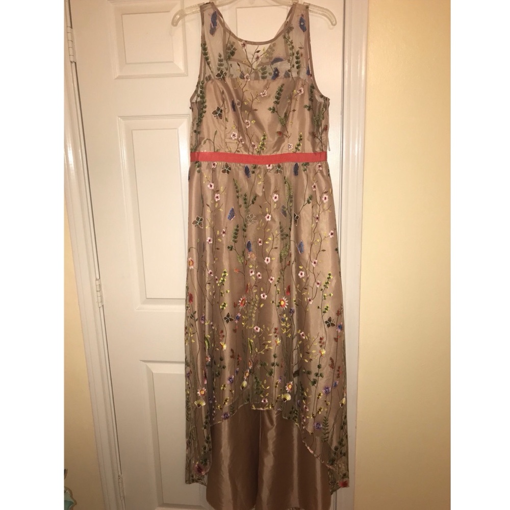 Adrianna Papell Sleevless Embroidered Hi Low Gown
